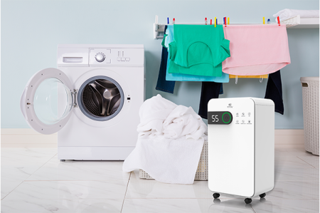 Осушитель воздуха Royal Clima PACIFIC Studio RD-PC12-EW