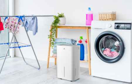 Осушитель воздуха Royal Clima PACIFIC Loft RD-PC25-E